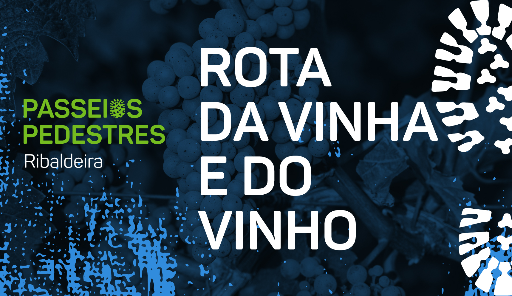 ATV :: Passeio Pedestre Rota da Vinha e do Vinho