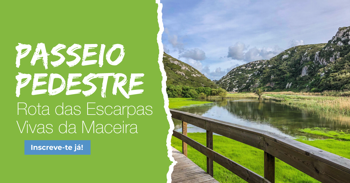 ATV :: Passeio Pedestre - Rota das Escarpas Vivas da Maceira